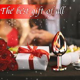 Stainless Steel Butt Plug